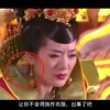 澳门生肖开奖结果205期